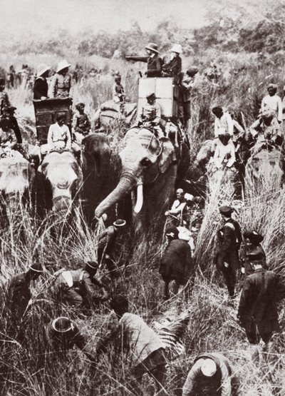 King George tiger hunting in Nepal by English Photographer